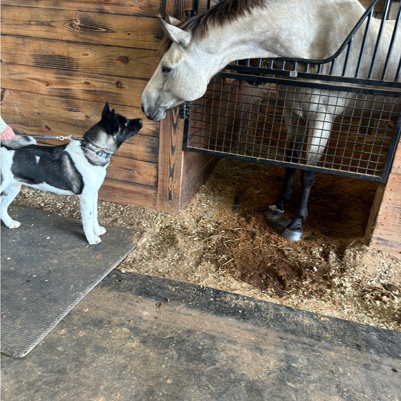 Live Join Now Share Show No Theme - Picture 10 of 13